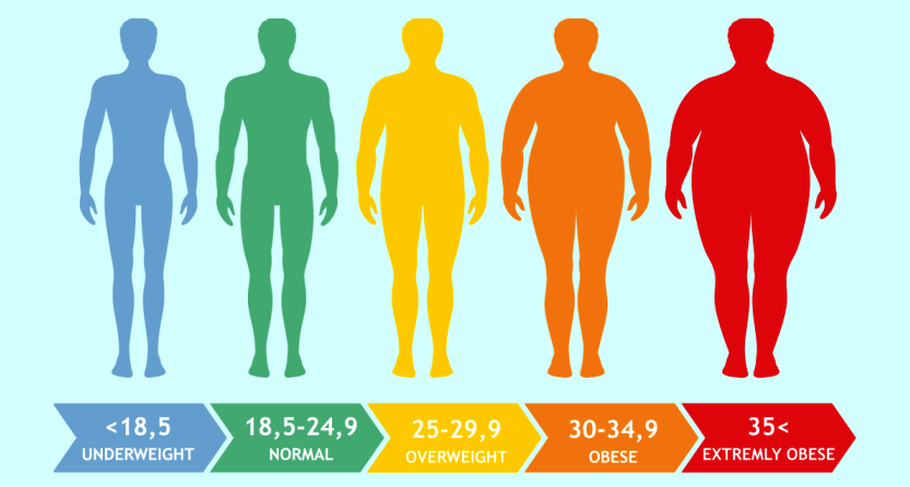 Beden Kitle İndeksinizi Hesaplayın